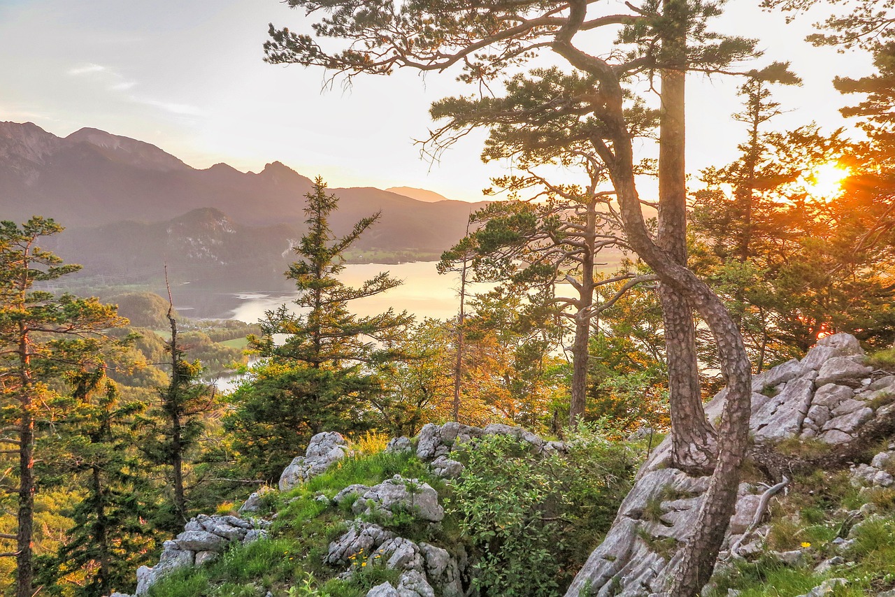 고용보험 취득(상실)확인서