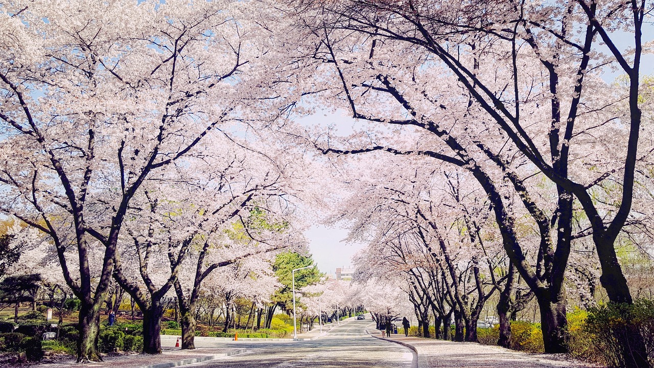 메트라이프금융서비스 대구