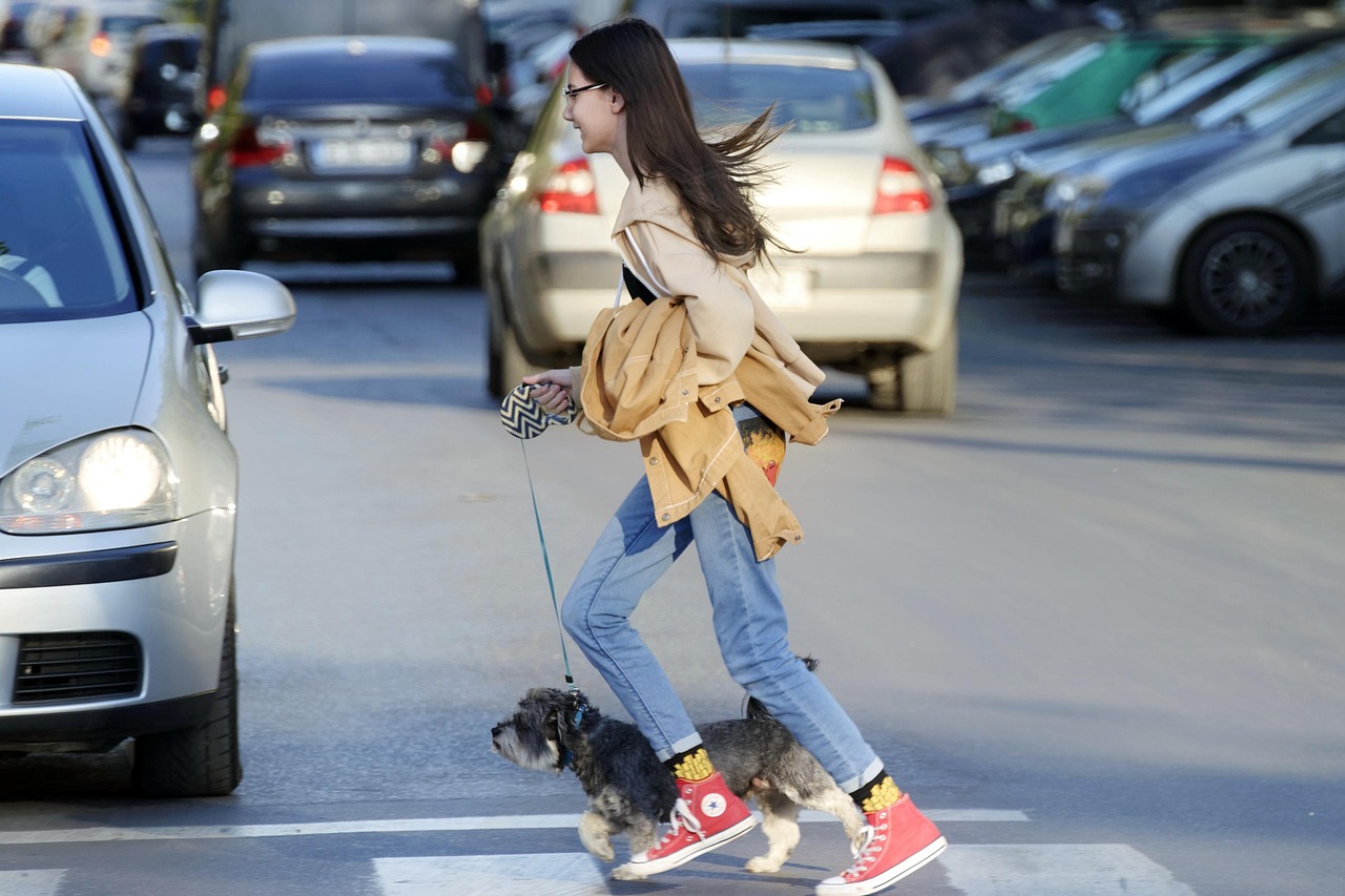 삼성화재 자동차보험 특약 사진