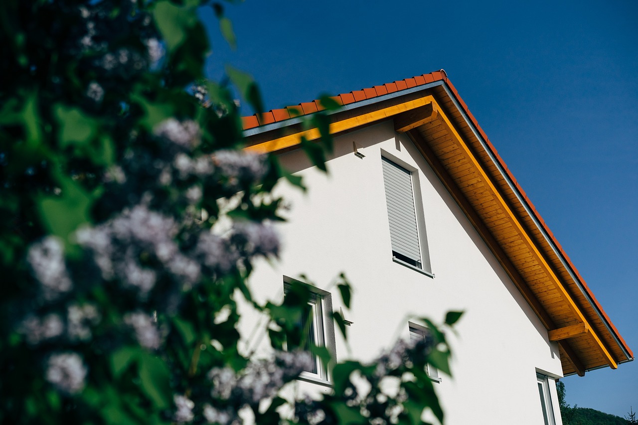농협보험약관대출